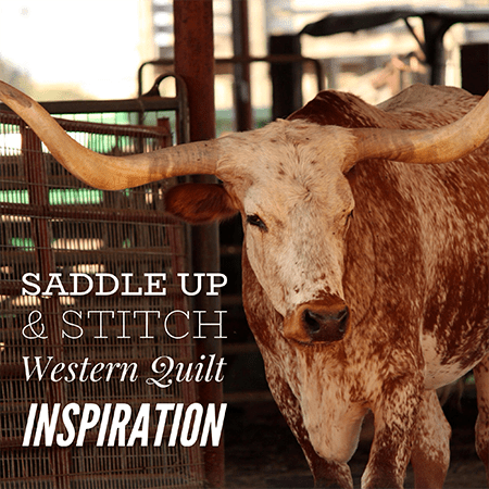 Western Quilt Inspiration – Saddle Up & Stitch - Fort Worth Fabric Studio
