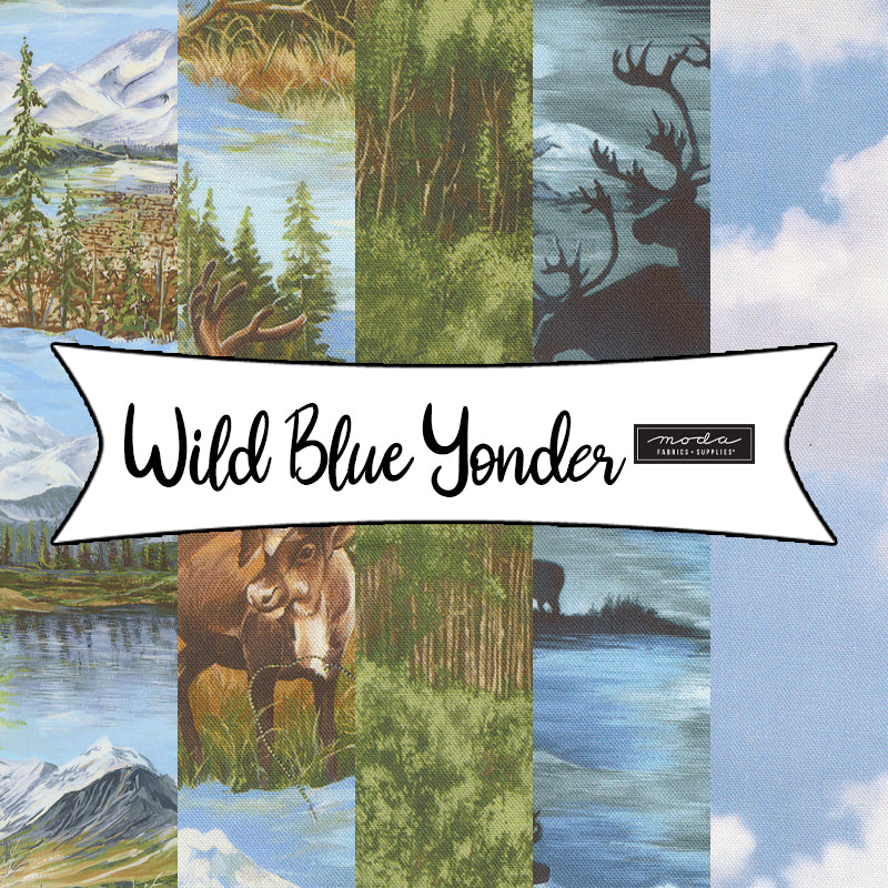 Wild Blue Yonder from Moda Fabrics