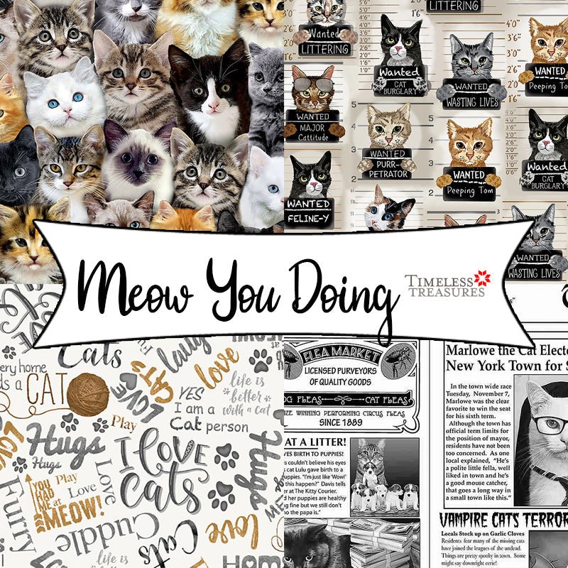 Meow You Doing from Timeless Treasures Fabrics - Fort Worth Fabric Studio