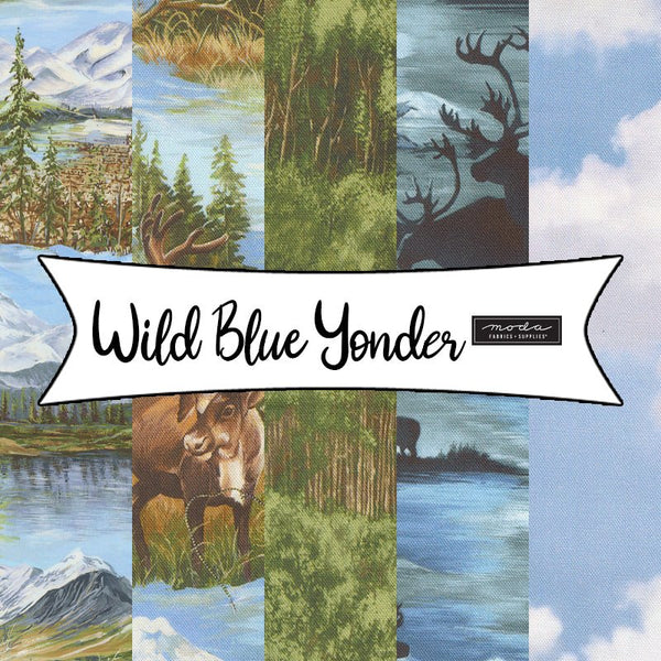Wild Blue Yonder from Moda Fabrics - Fort Worth Fabric Studio