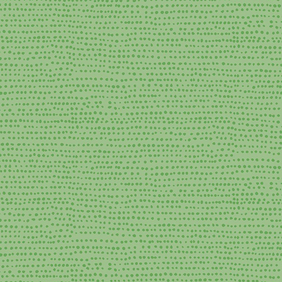 Moonscape Kiwi