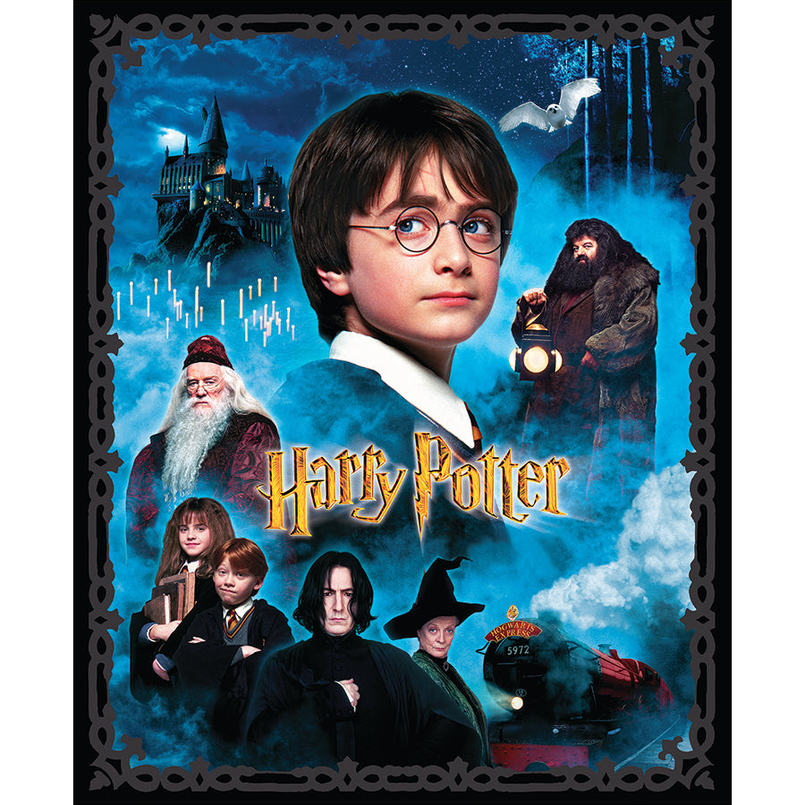 Harry Potter 36" Panel Black Multi