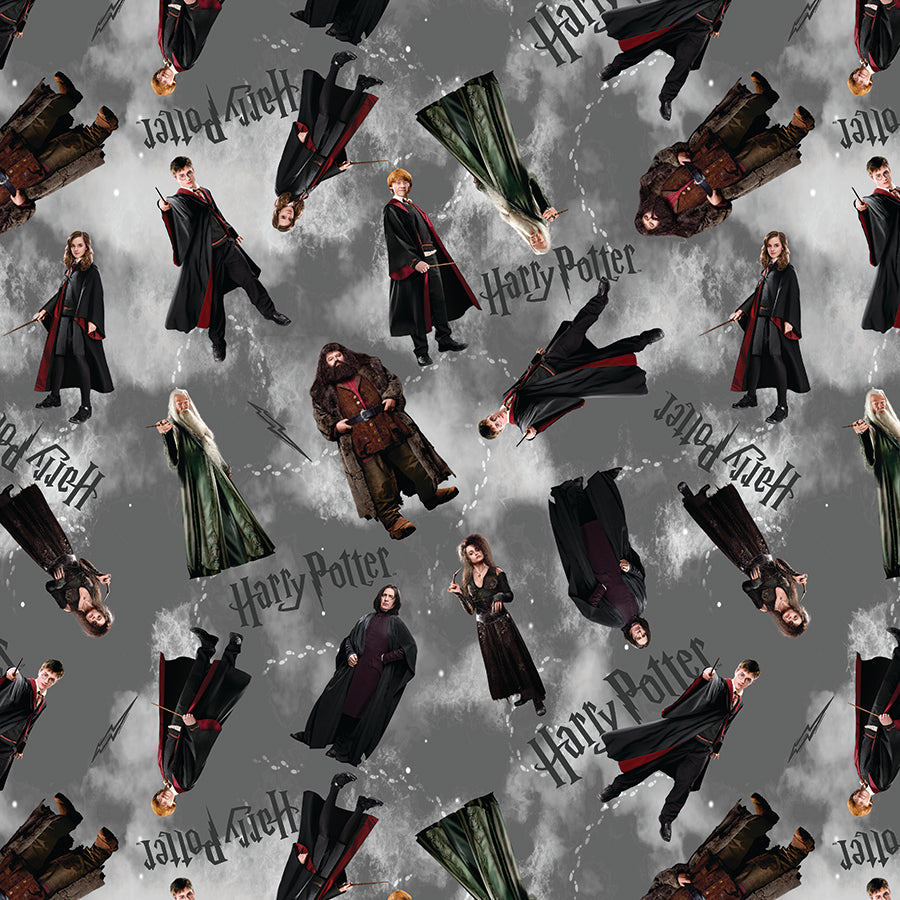Harry Potter Characters Gray