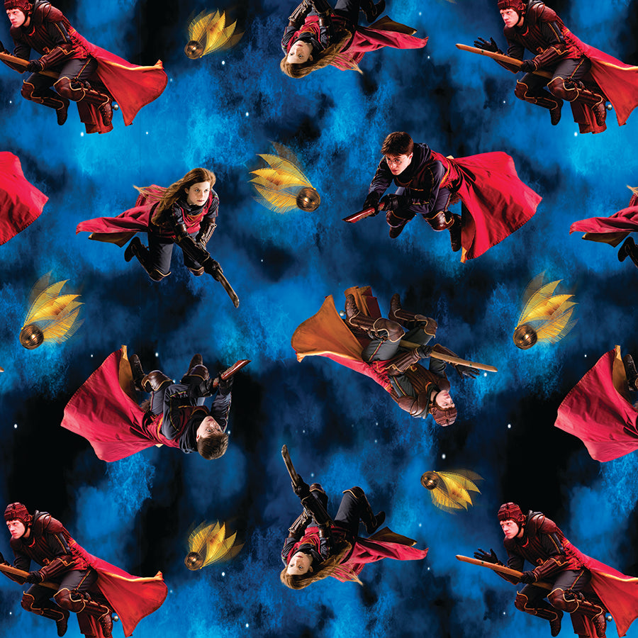 Harry Potter Quidditch Blue