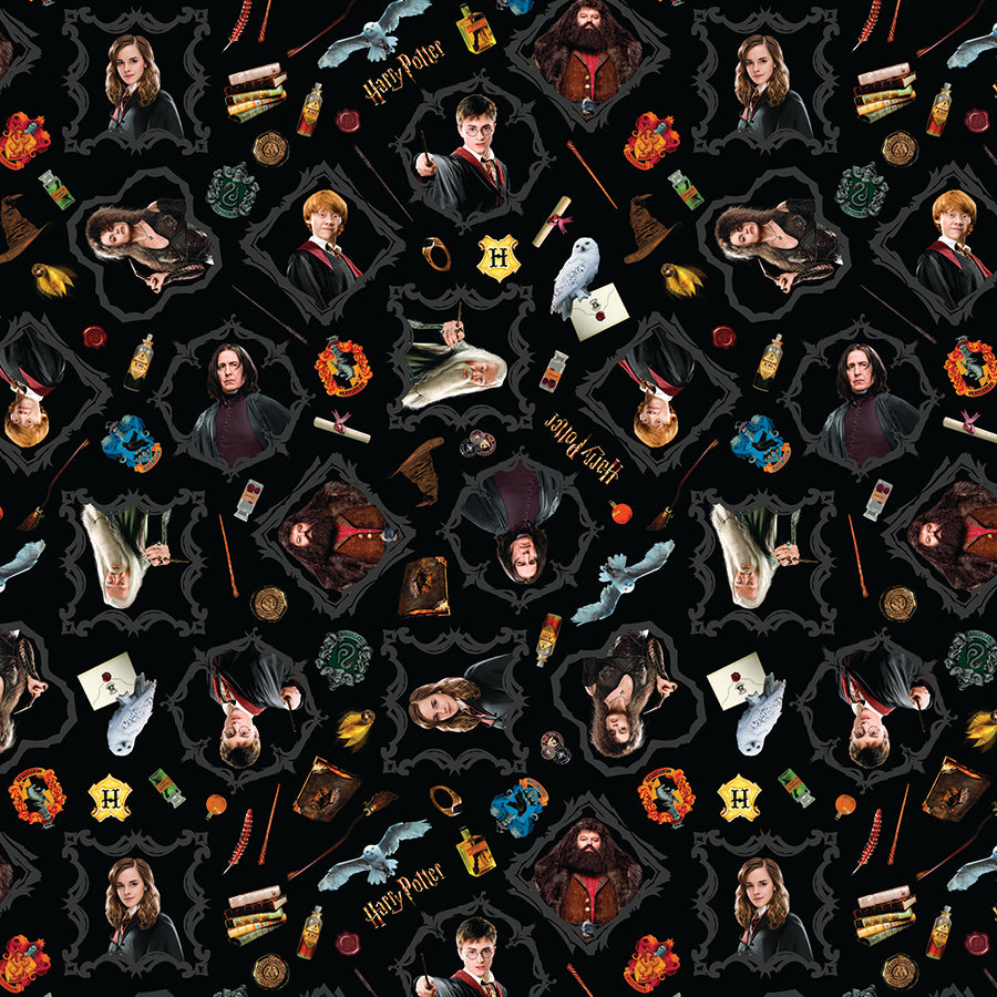 108" Wide Quilt Backing Harry Potter Magic Black