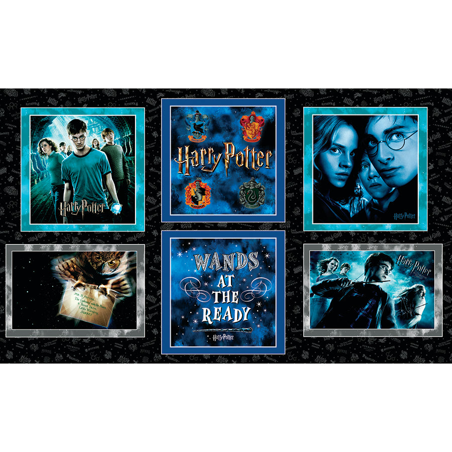 Harry Potter 36" X 59" Pillow Panel Black