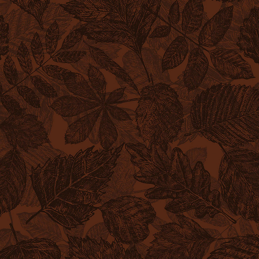 Forest Floor Leaves Brown