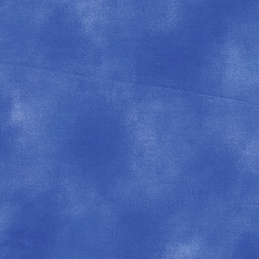 Shadow Blush Bleu
