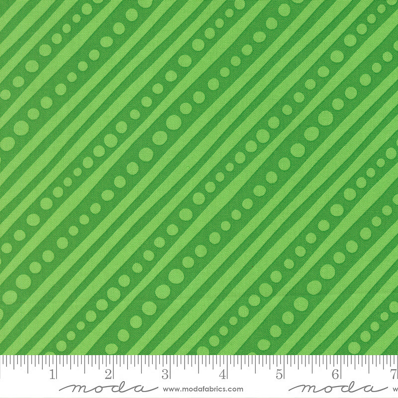 Snow Time Dotted Stripes Hollyleaf