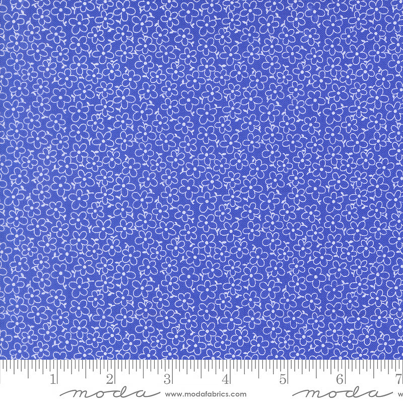 On The Porch Field of Flowers Bountiful Blue