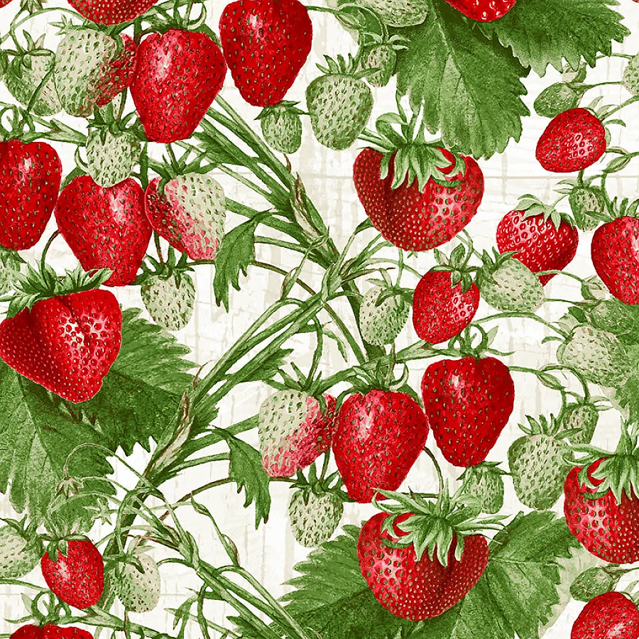 Berry Besties Strawberries Red/Green