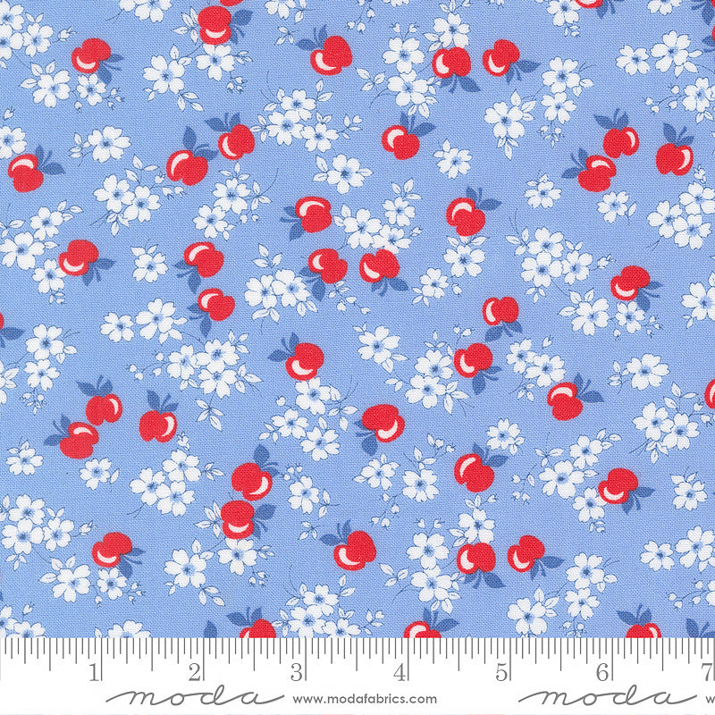 30's Playtime Apple Florals Sky