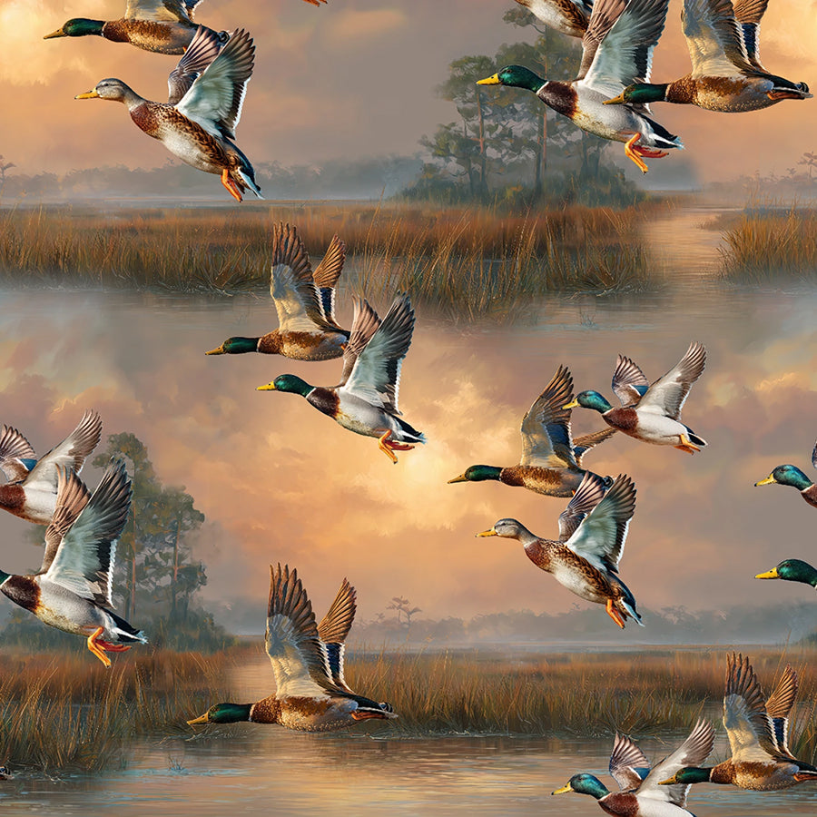 Before The Shot Taking Flight Multi