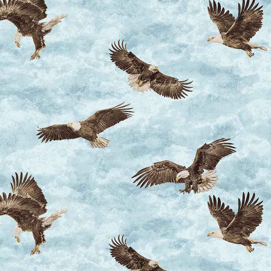 Stonehenge Eagle Pass Eagles Light Blue Multi