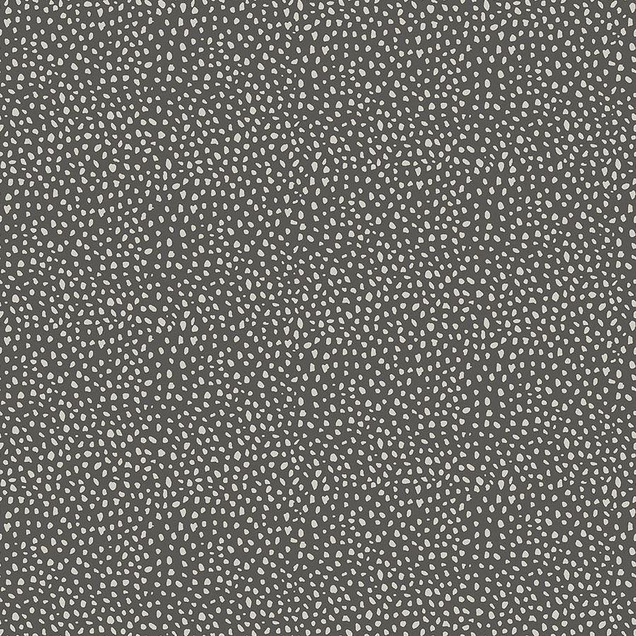 Wild One Dots Dark Gray