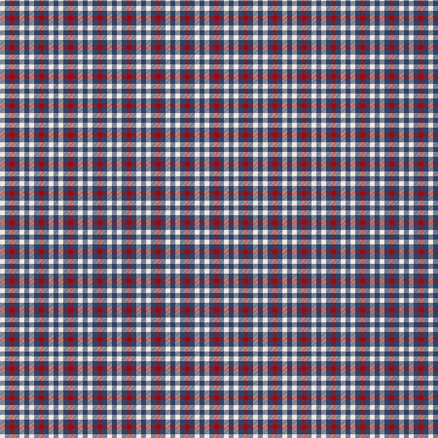 Cowboy Blues Small Check Red/Blue