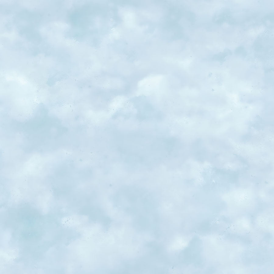 Bear Necessities Clouds Blue