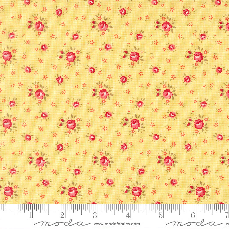 Lyda Rose Petite Roses Sunwashed