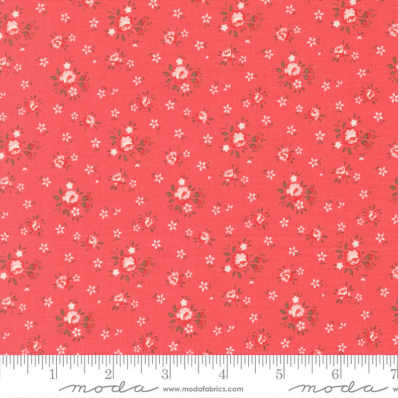Lyda Rose Petite Roses Petal