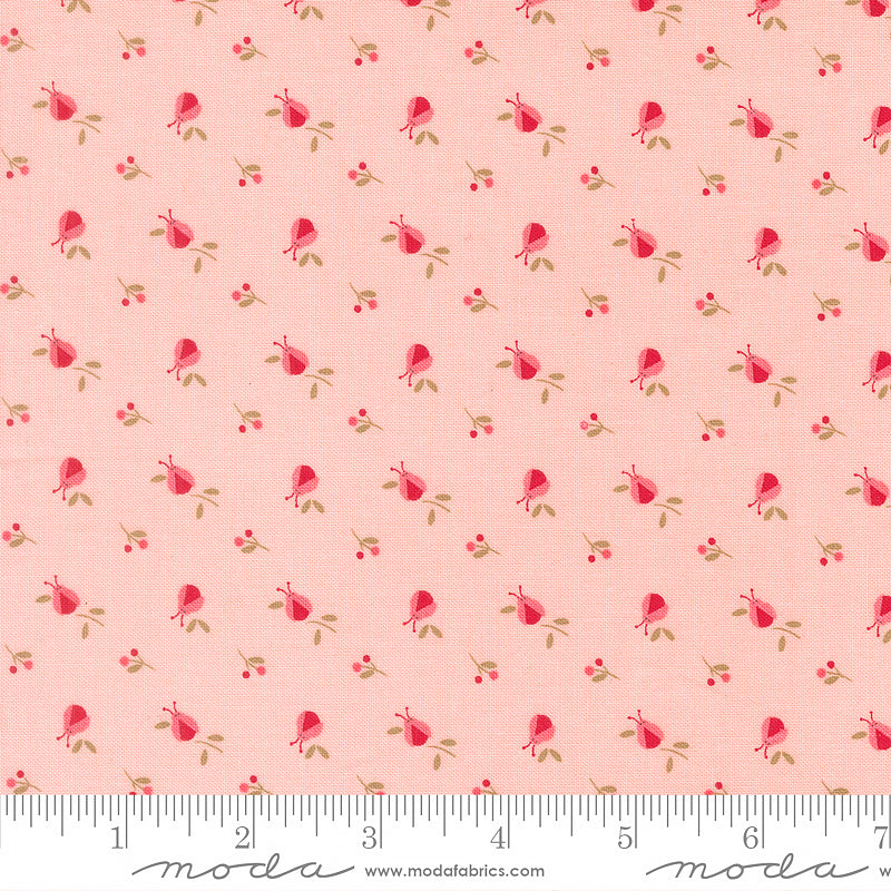 Lyda Rose Ladybugs Pink