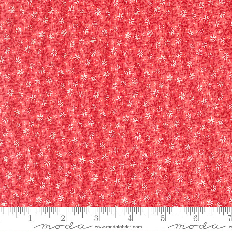 Lyda Rose Wild Florals Petal