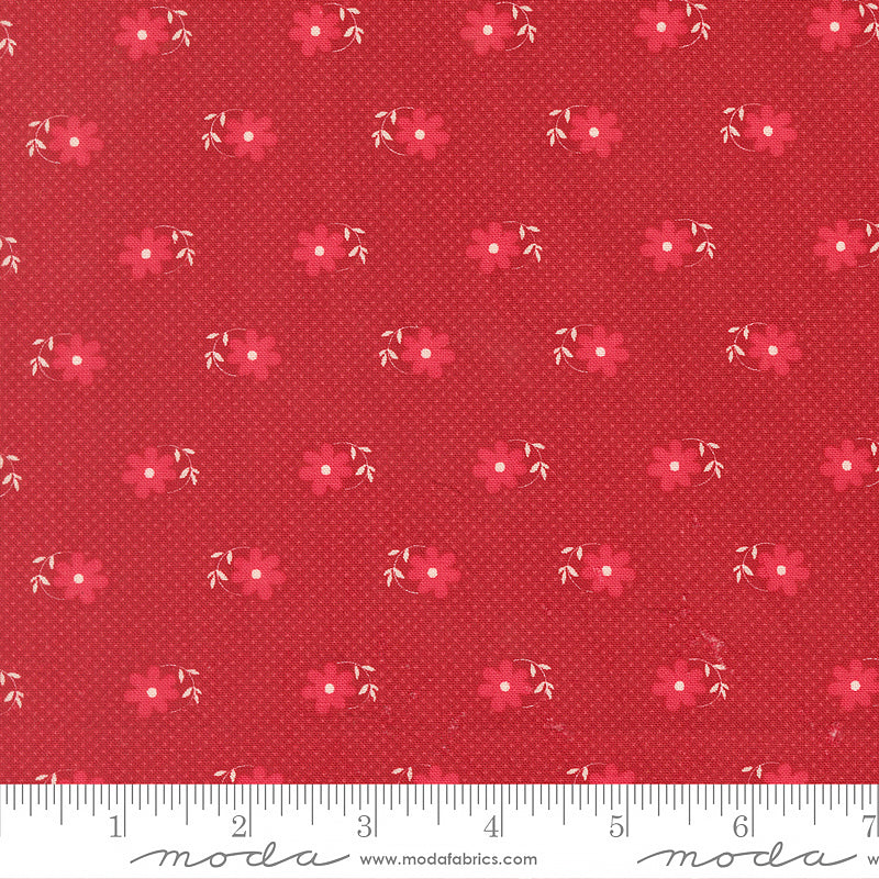 Petals & Polka Dots Pinwheel Florals Rose