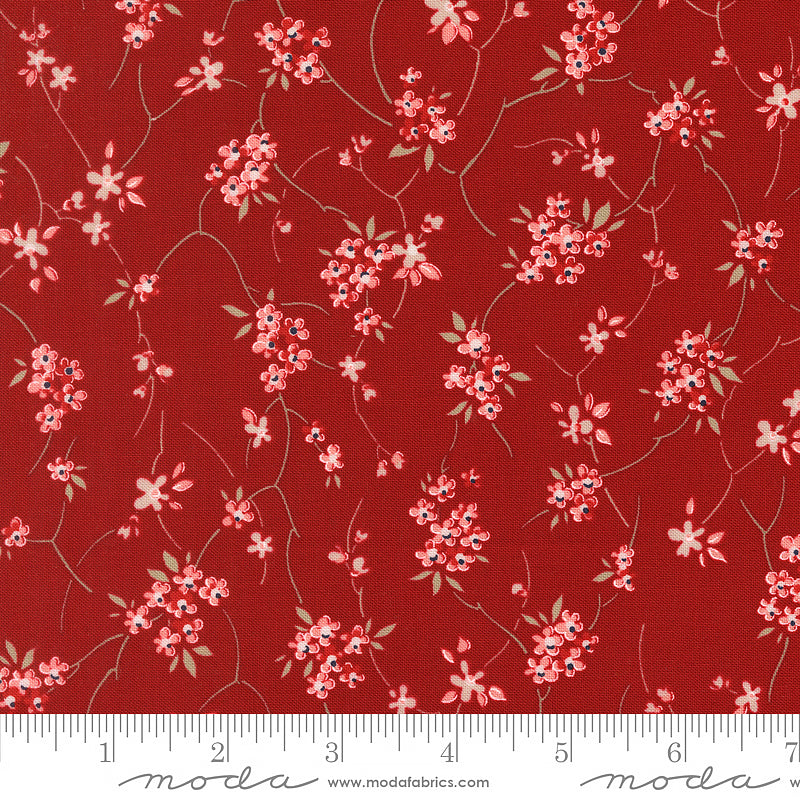 Blossom Jubilee Meadowsweet Florals Rose