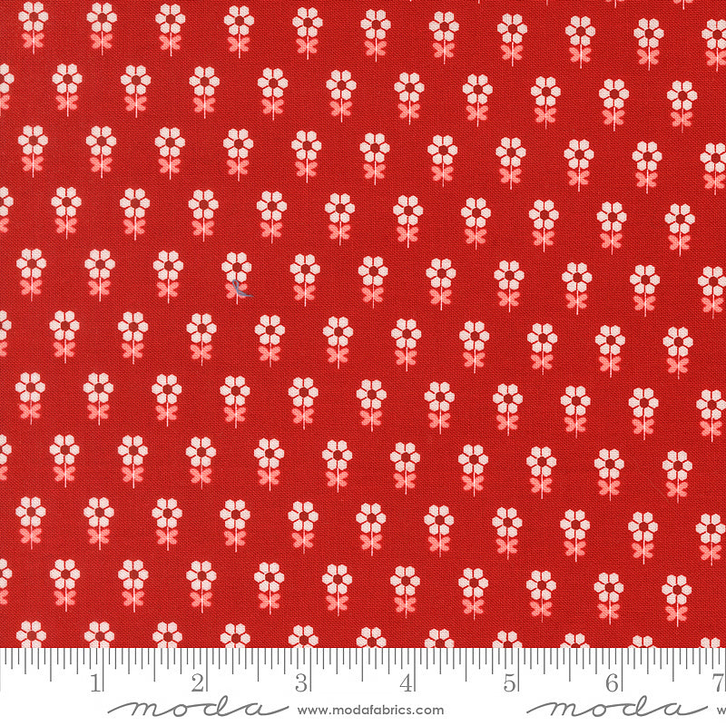 Blossom Jubilee Hexi Florals Cherry