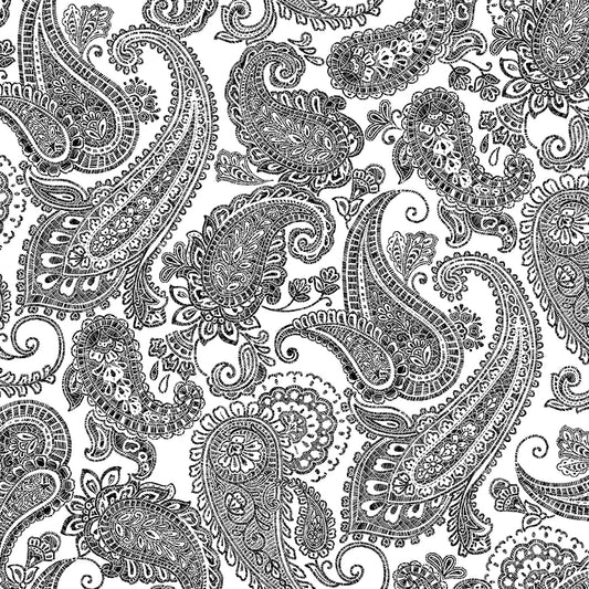 118"  Wide Quilt Backing Parkside Paisley Black & White from Henry Glass 3 YARD CUT