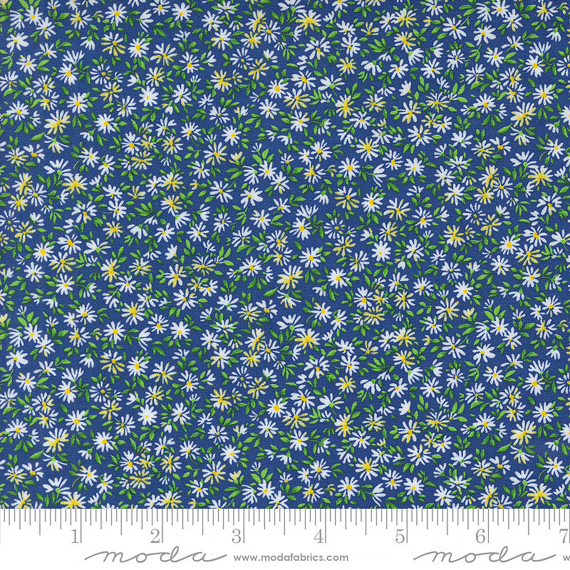 Wildflowers Daisy Field Bluebonnet
