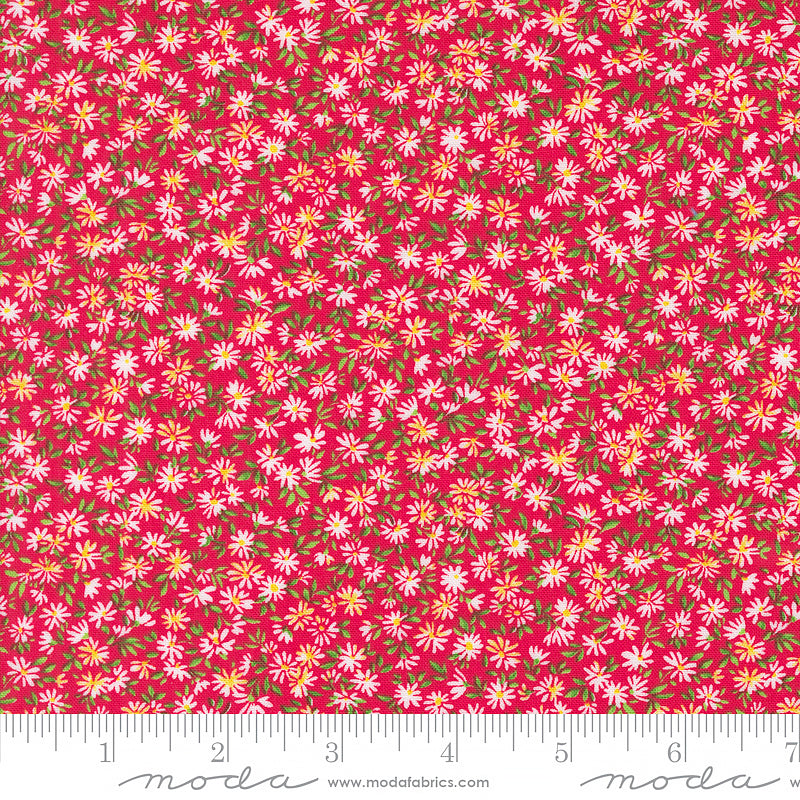Wildflowers Daisy Field Poppy – Remnant 16" × 44"