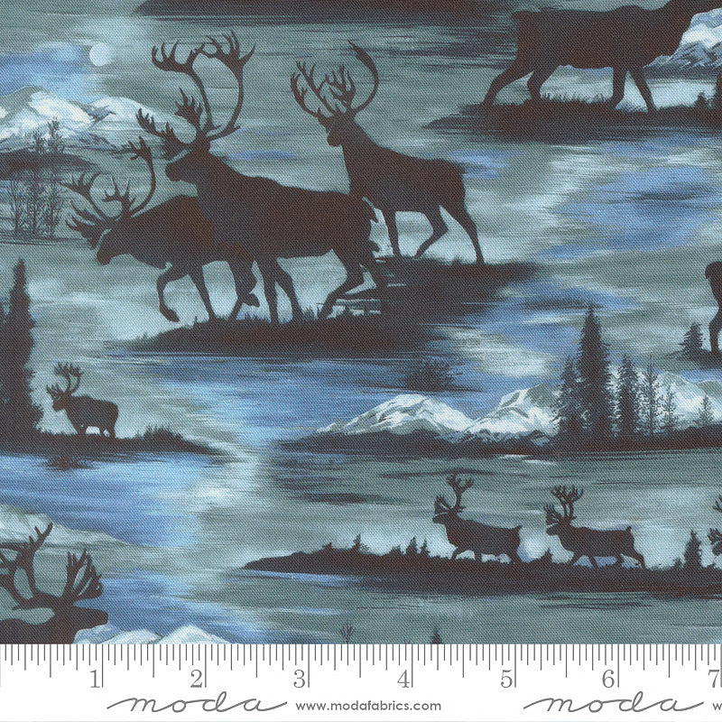 Wild Blue Yonder Elk Scenic Sky