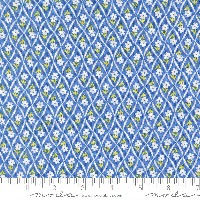 Rosie Flower Trellis Blueberry