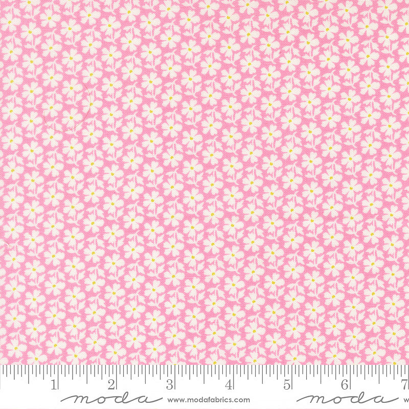 Summer's End Daisies Lilac