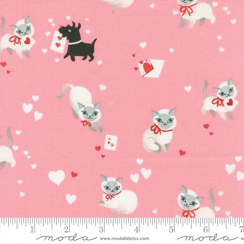 Funny Valentine Kitty Hearts Ballerina