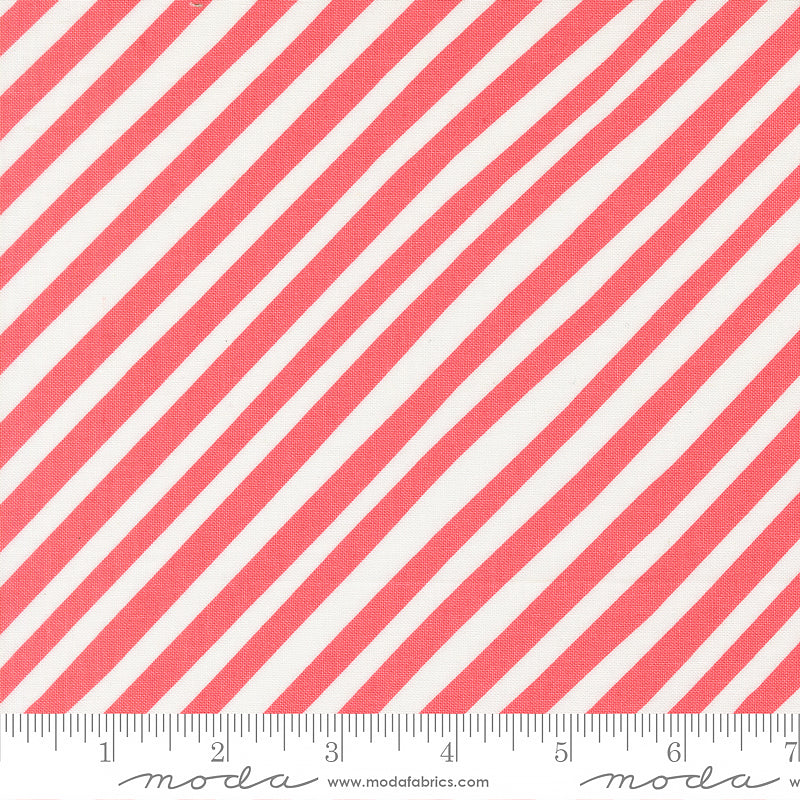 Funny Valentine Stripes Coral