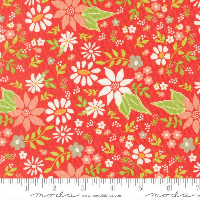 Poinsettia & Pear Poinsettia Florals Geranium