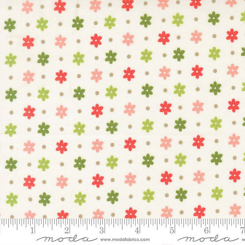 Poinsettia & Pear Daisy Dots Cloud