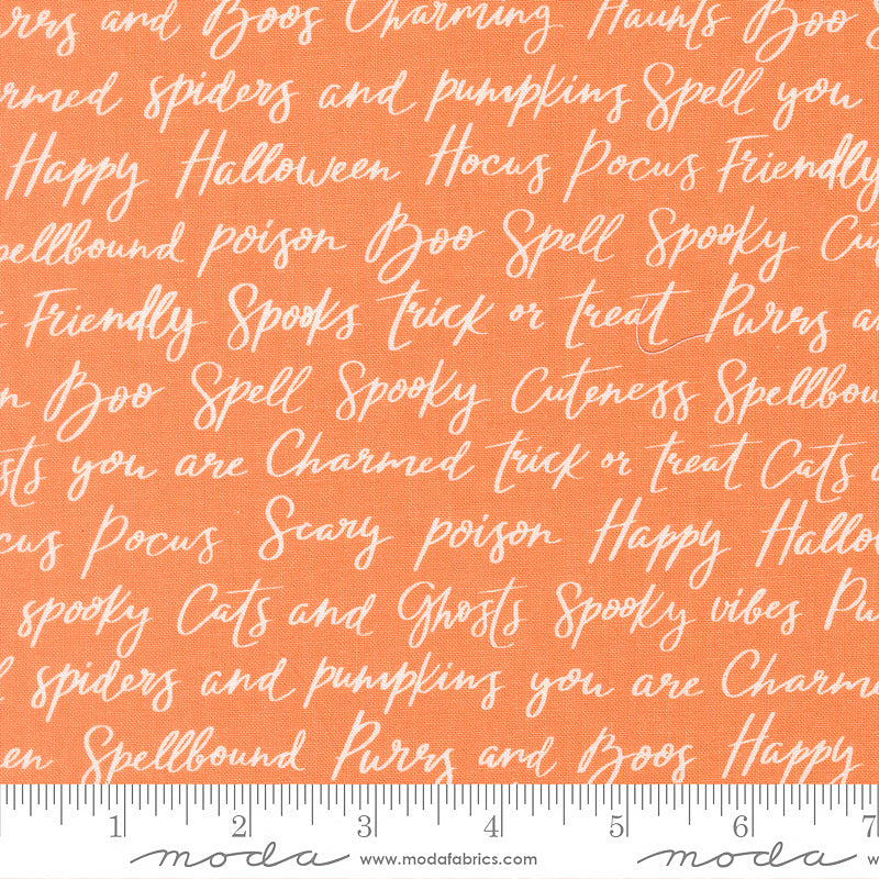 Purrs & Boos Text & Words Pumpkin