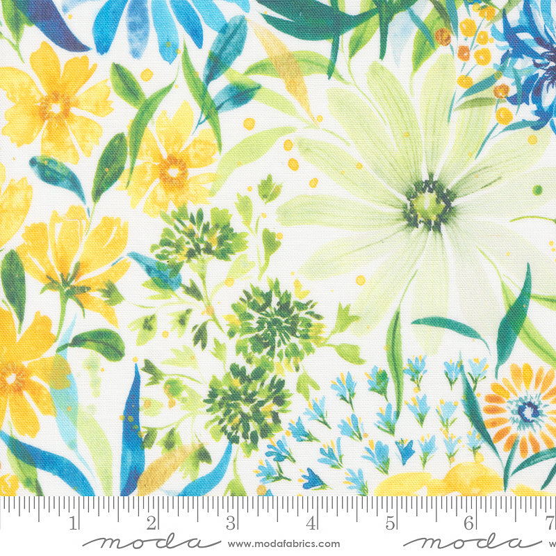 Sunshine & Blue Skies Sunny Days Canvas Cloud