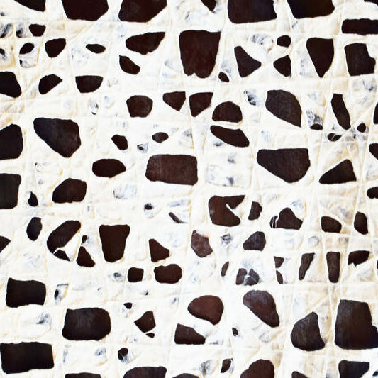 Northcott Amok Spots Cream/Brown 1 Yard Cut