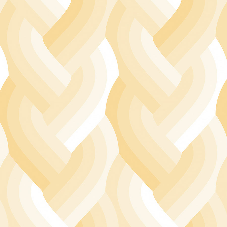 Echo Braid Ombre Ivory