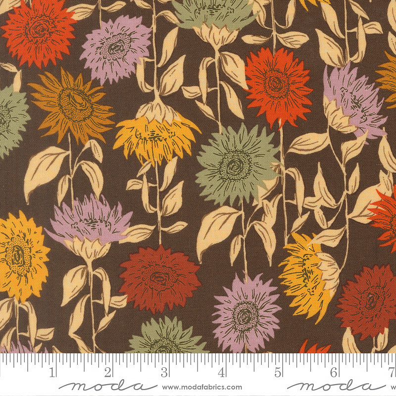 Windfall Sunflower Field Coffee