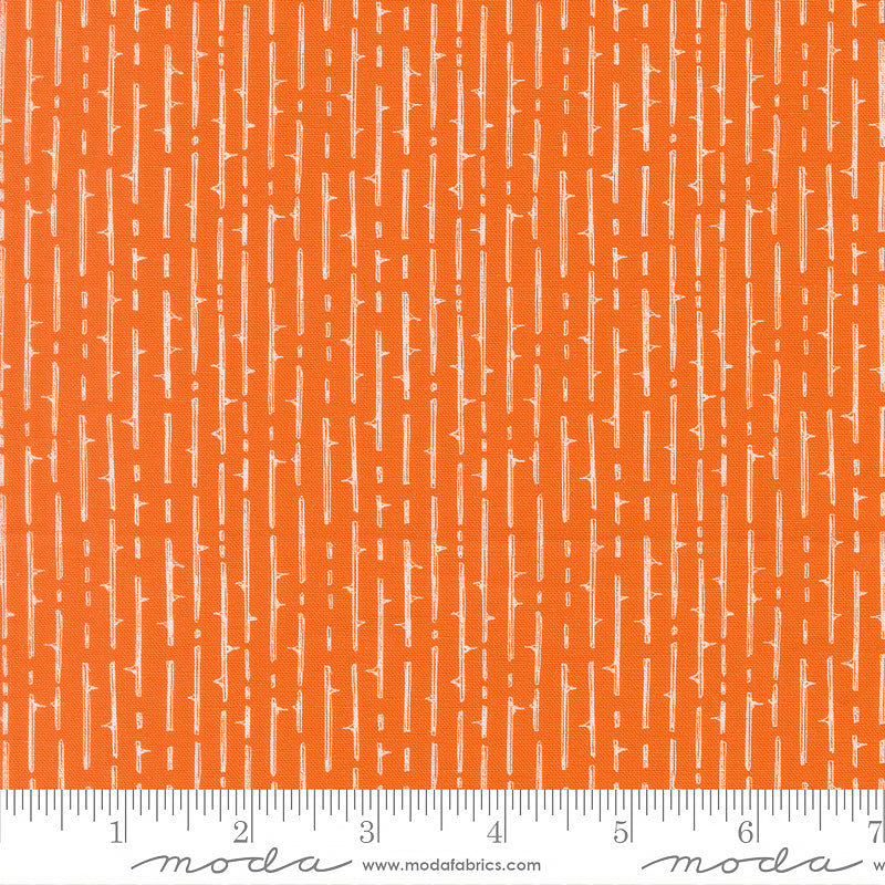 Coven Thorny Stripes Pumpkin Spice