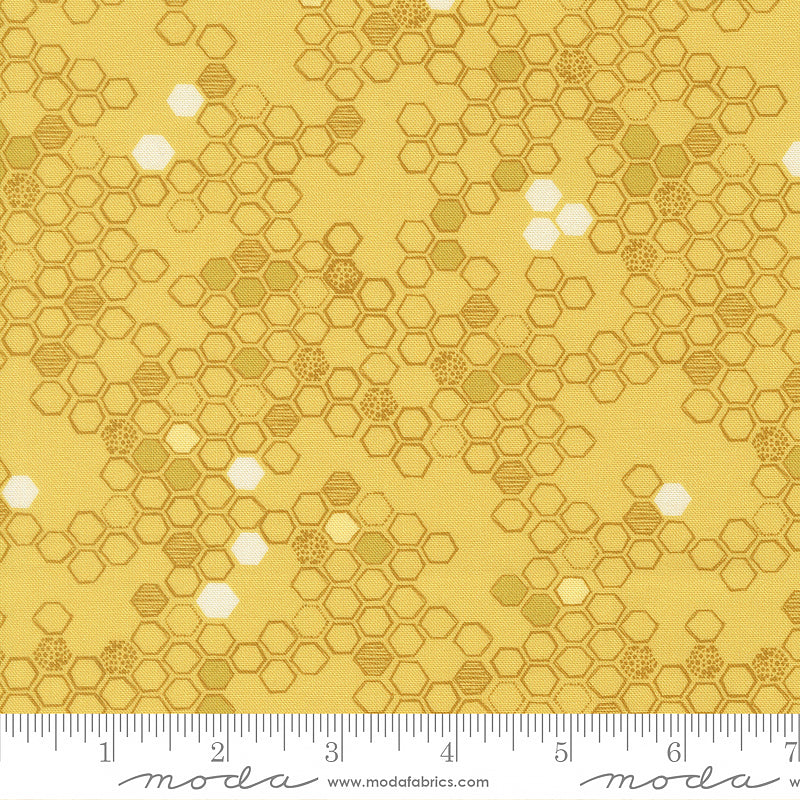 Pollinators Honeycomb Honey
