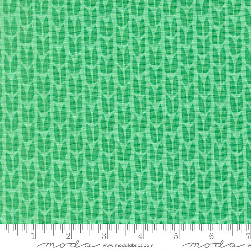 Scenery Sprout Spearmint