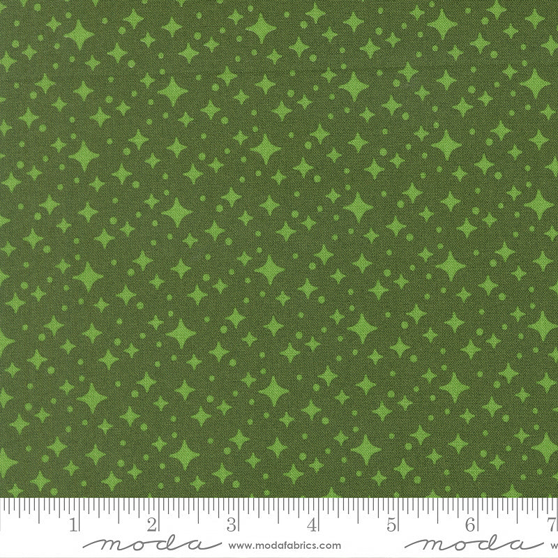 Scenery Starlight Cypress