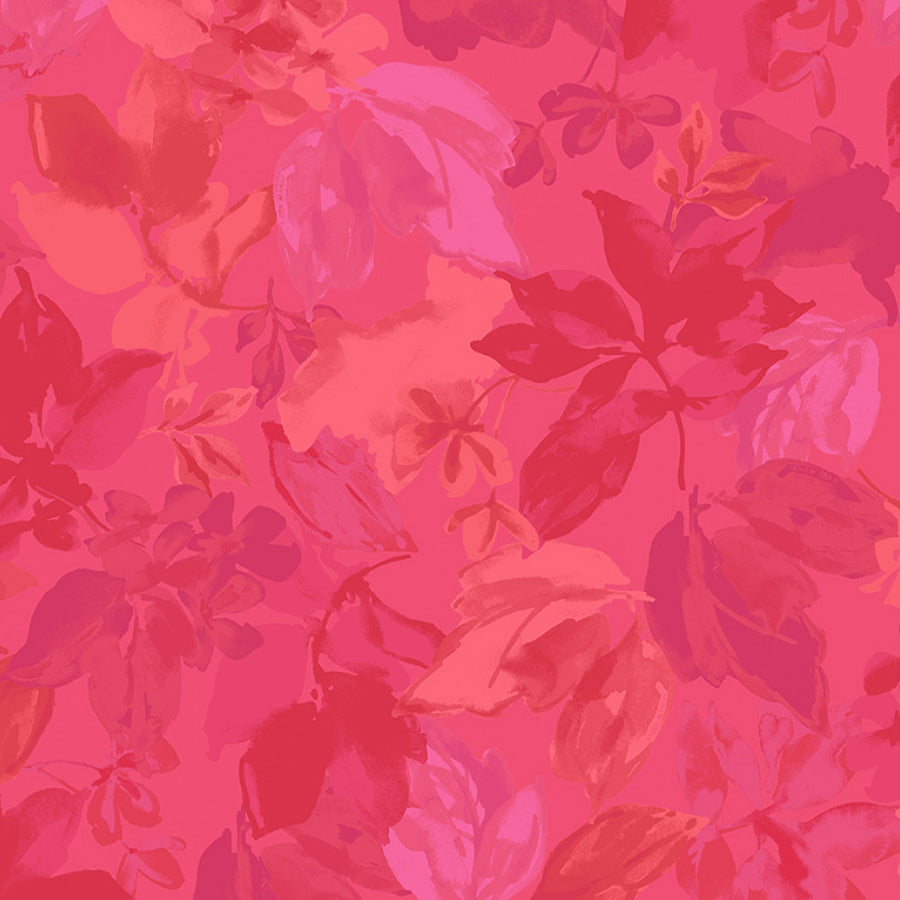 Lush Bougainvillea
