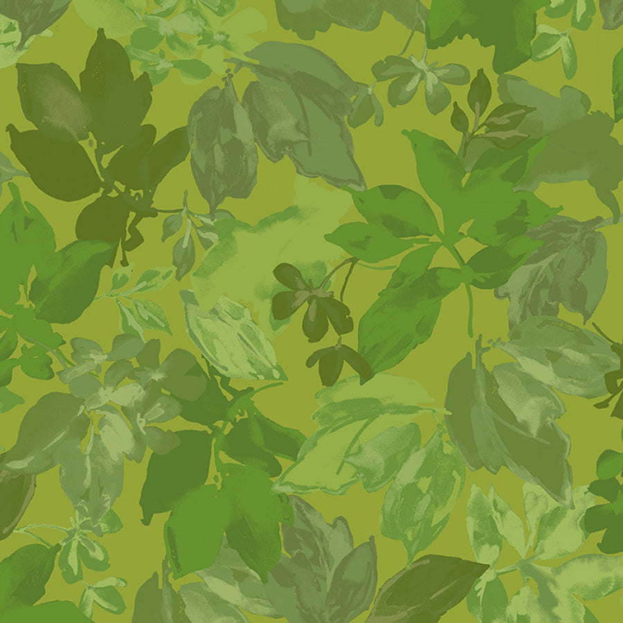 Lush Jungle