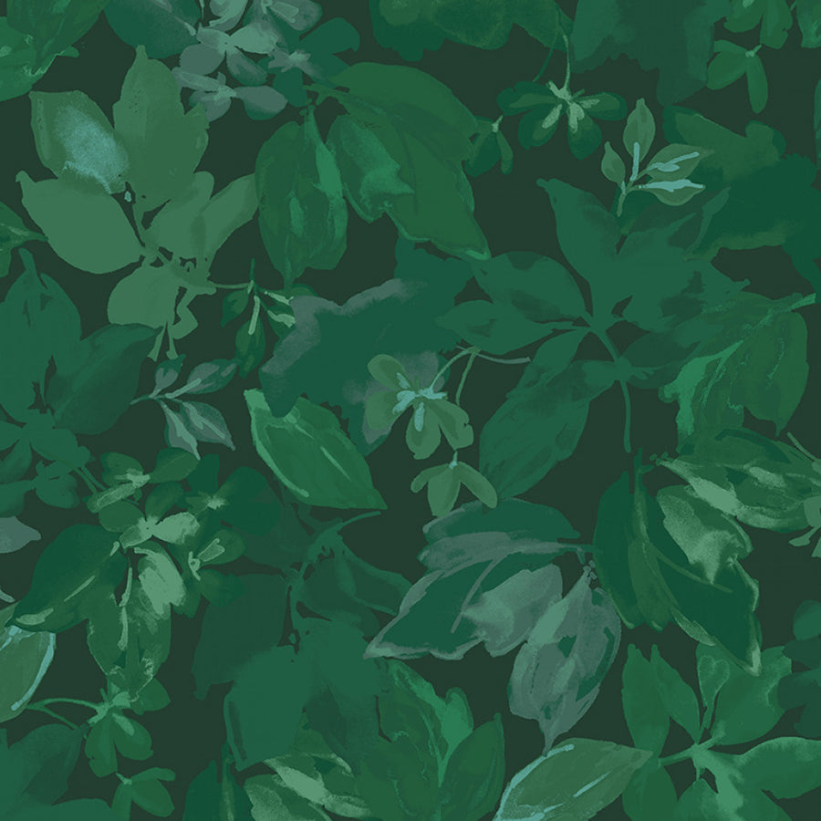 Lush Forest